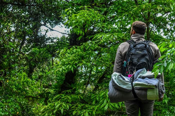 Equipo y Artículos Esenciales: Qué Llevar al Acampar